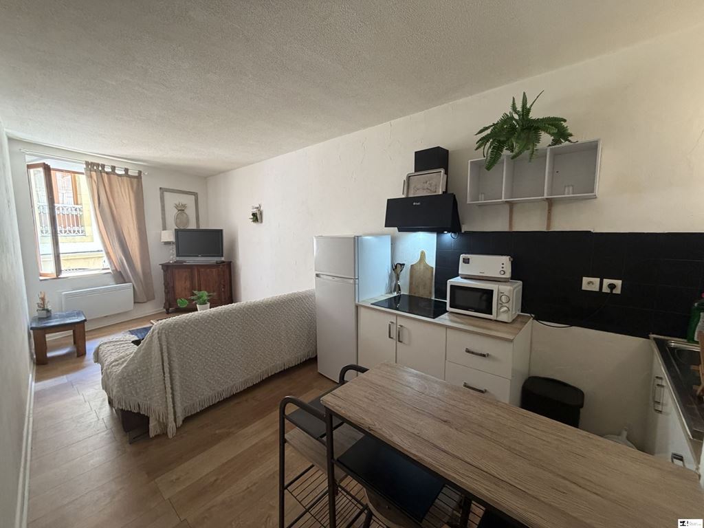 Appartement SALIES DU SALAT (31260) LE 4 LE CABINET IMMOBILIER