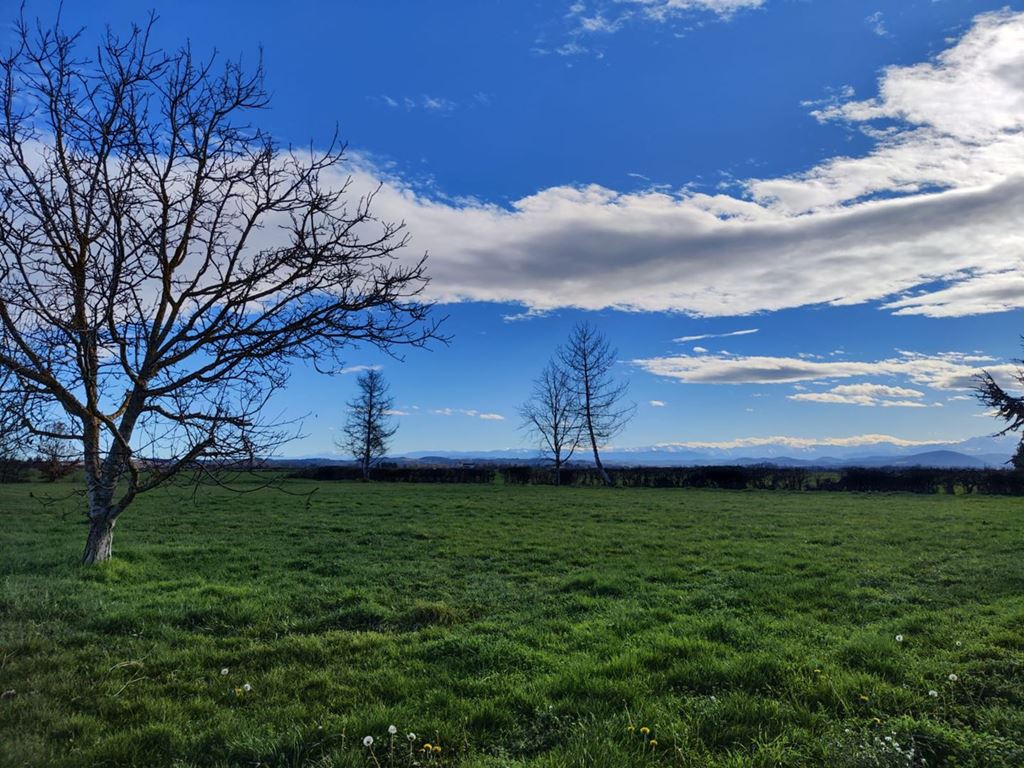 Corps de ferme LE FOUSSERET (31430) LE 4 LE CABINET IMMOBILIER