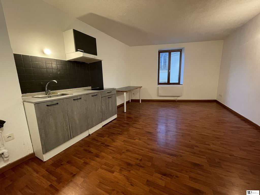 Appartement SALIES DU SALAT (31260) LE 4 LE CABINET IMMOBILIER